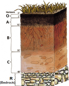 Layers of Soil in Virginia