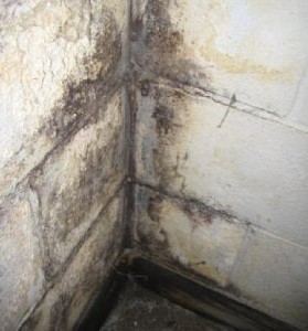 wet basement virginia, wet basement maryland, basement waterproofing