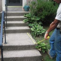 settled and uneven concrete steps