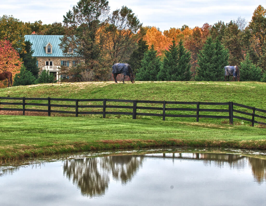 Rural property in Middleburg, VA with horses and a pond