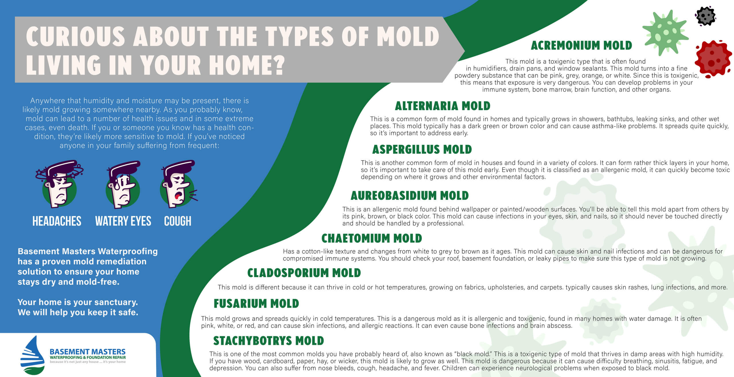 Curious-About-Types-Of-Mold-Growing-In-Your-Home
