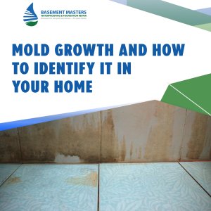 Mold-Growth-And-How-To-Identify-It-In-Your-Home