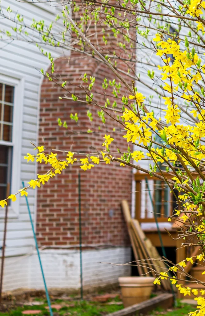 basement waterproofing springfield, va
