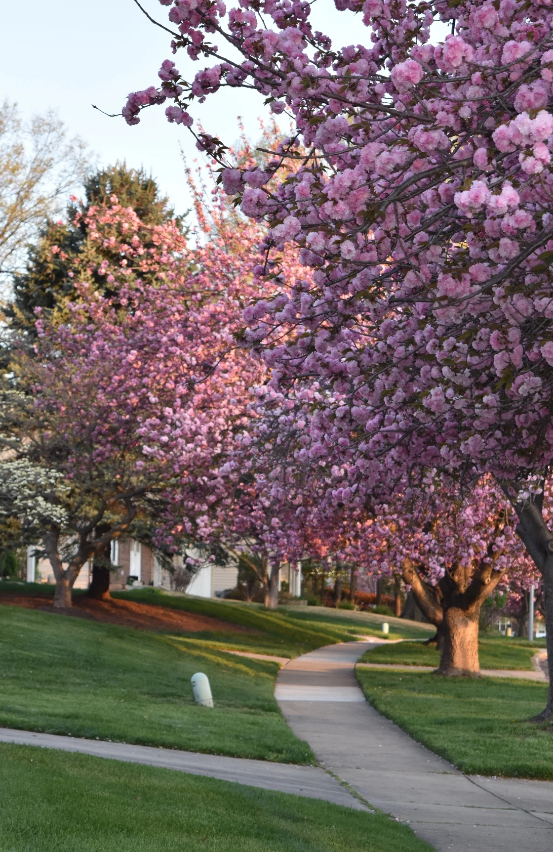basement waterproofing in Rockville, MD